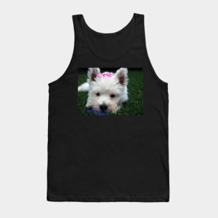 Westie puppy Tank Top